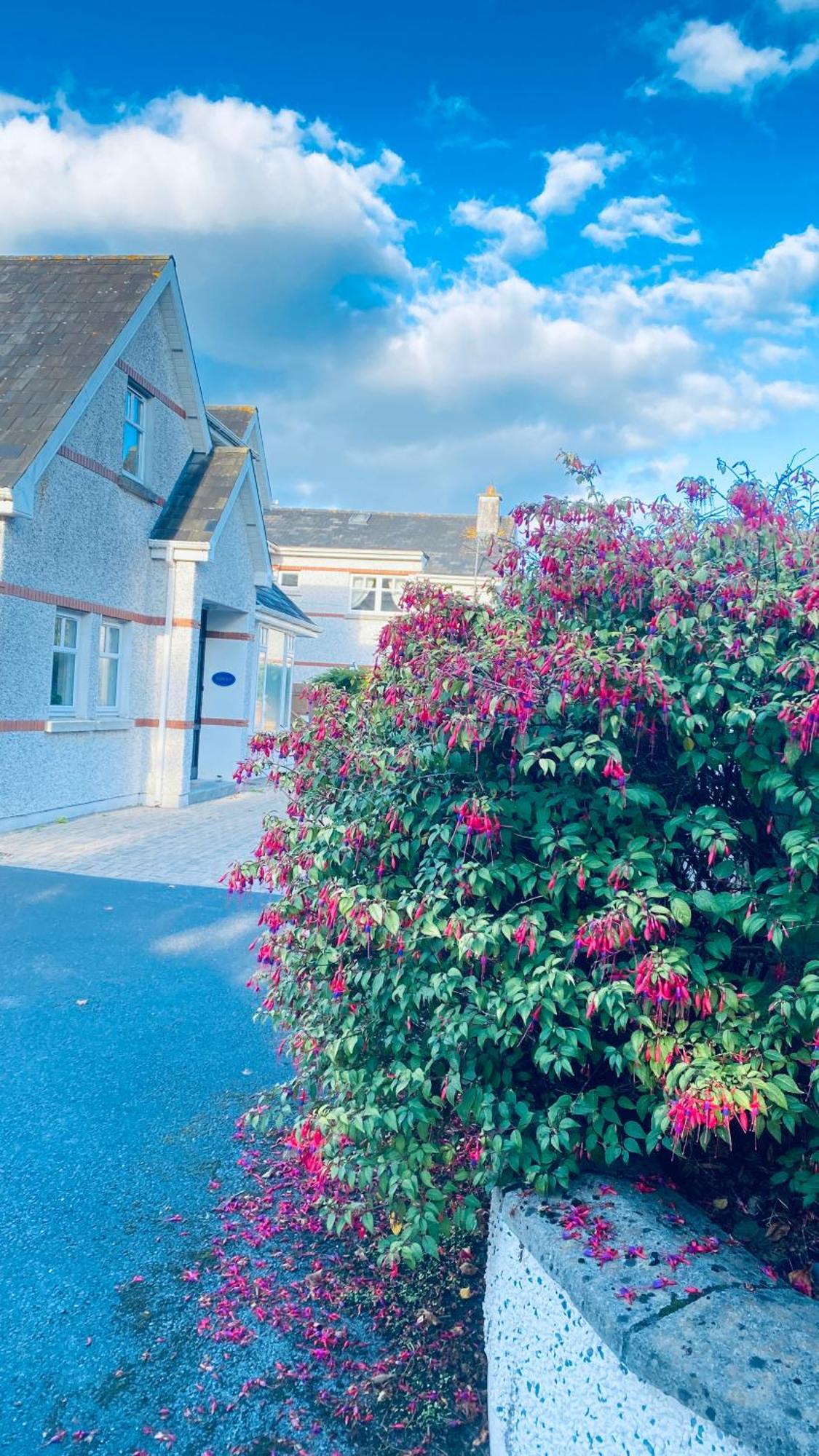 Sonas House Bed & Breakfast Kilkenny Dış mekan fotoğraf